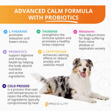 Nootie ProGility Max Dog Soft Chew Joint Supplement