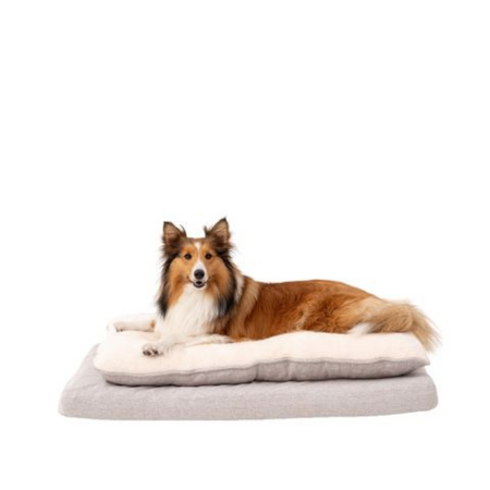 Territory Dog Bed Pillow Top Khaki Large 42 X 28
