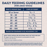 Natural Balance Vegetarian Dry Dog Food, 24 lbs.