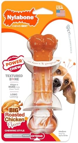 Nylabone Textured Bone Power Chew Roasted Chicken Flavor Dog Toy, Medium