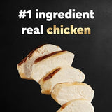 Cesar Canine Cuisine Grilled Chicken Flavor Dog Food Trays, 3.5 oz.