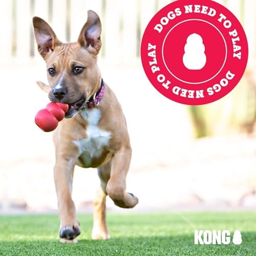 KONG ZoomGroom Dog Brush