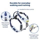 PetSafe Easy Walk Comfort No-Pull Dog Harness, Black (Small/Medium)