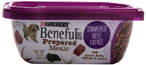 Purina Beneful Prepared Meals Beef Stew Wet Dog Food, 10 oz.