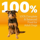 Pedigree Complete Nutrition Roasted Chicken, Rice & Vegetable Flavor Adult Dry Dog Food, 3.5 lbs.
