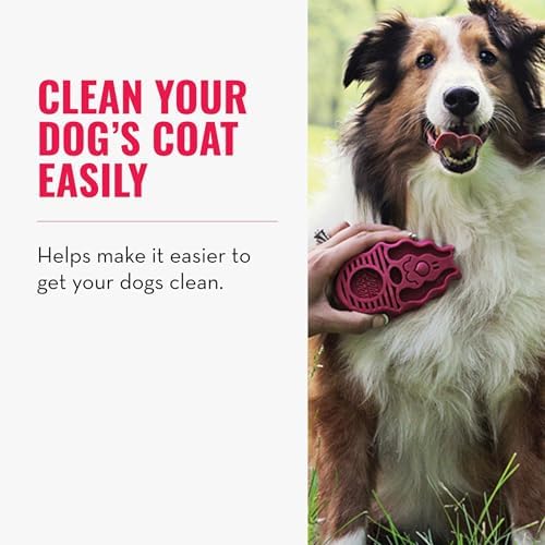 KONG ZoomGroom Dog Brush