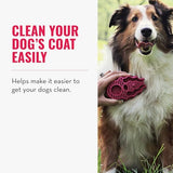 KONG ZoomGroom Dog Brush