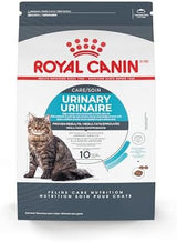 Royal Canin Feline Care Nutrition Urinary Care Adult Dry Cat Food