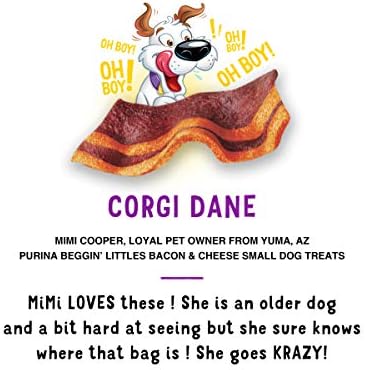 Purina Beggin' Strips Fun Size Bacon & Cheese Flavor Tender Chews Small Dog Treats, 6 oz.