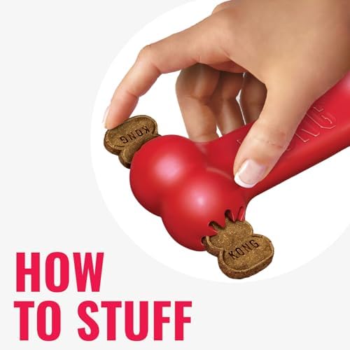 KONG Goodie Bone Classic Durable Natural Rubber Dog Bone
