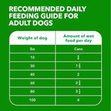 Iams ProActive Health Adult Ground Dinner with Lamb & Rice Wet Dog Food, 13 oz.