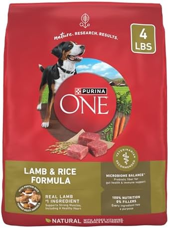 Purina ONE SmartBlend Natural Chicken & Rice Dry Dog Food, 8 lbs.