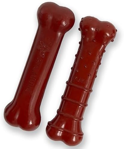 Nylabone Textured Bone Power Chew Roasted Chicken Flavor Dog Toy, Medium