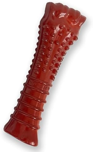 Nylabone Textured Bone Power Chew Roasted Chicken Flavor Dog Toy, Medium