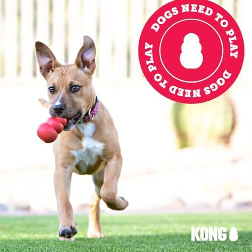 KONG Goodie Bone Classic Durable Natural Rubber Dog Bone