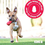 KONG Goodie Bone Classic Durable Natural Rubber Dog Bone