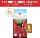 Purina ONE SmartBlend Natural Chicken & Rice Dry Dog Food, 8 lbs.