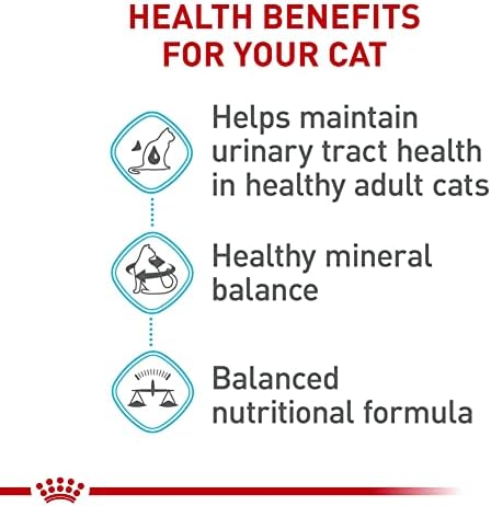 Royal Canin Feline Care Nutrition Urinary Care Adult Dry Cat Food