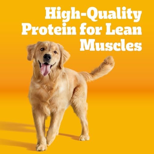 Pedigree Complete Nutrition Roasted Chicken, Rice & Vegetable Flavor Adult Dry Dog Food, 3.5 lbs.