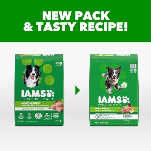 Iams ProActive Health Adult MiniChunks Dry Dog Food, 15 lbs.