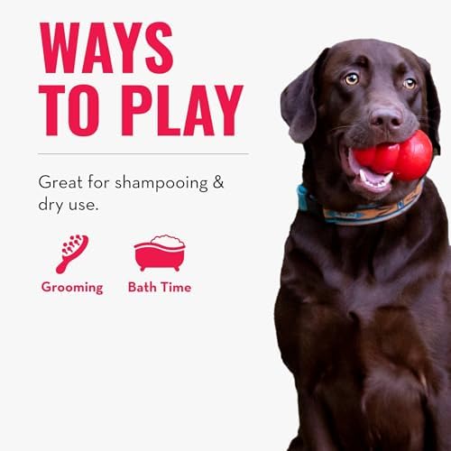KONG ZoomGroom Dog Brush