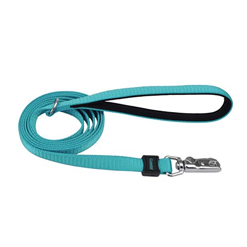 Coastal Inspire Enhanced Core Dog Leash Aqua, 5/8 in. x 6 ft.