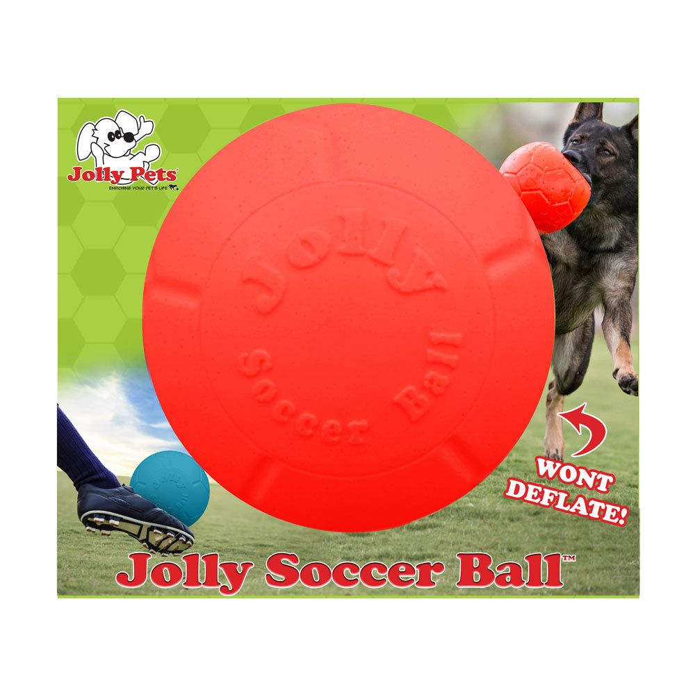 Jolly Pets Orange Vanilla Scented Rubber Soccer Ball Dog Toy, 8 in.