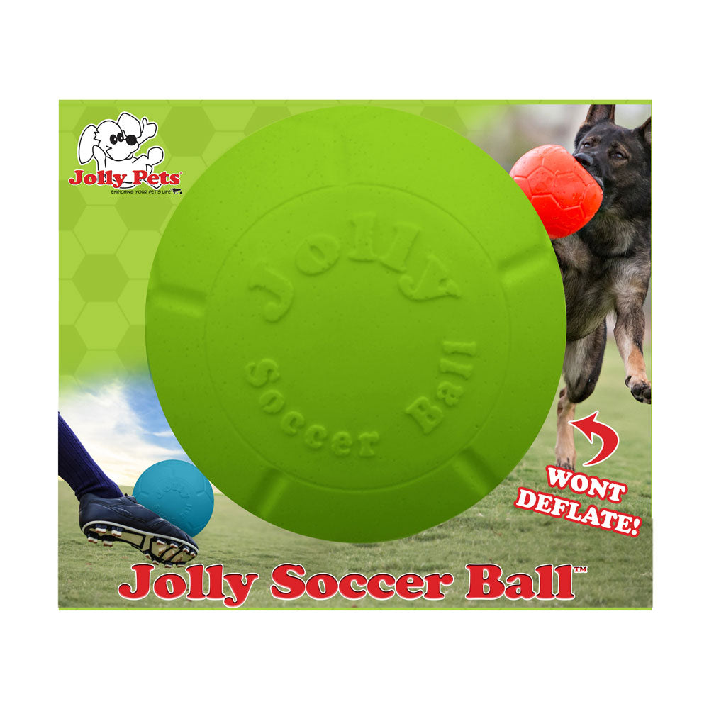 Jolly Pets Apple Scented Rubber Soccer Ball Dog Toy, 8 in.