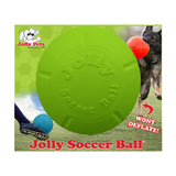 Jolly Pets Apple Scented Rubber Soccer Ball Dog Toy, 8 in.