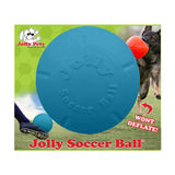 Jolly Pets Soccer Ball Dog Chew Toy, 8 in.