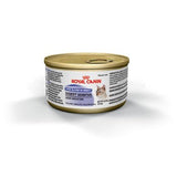 Royal Canin Digestive Care Thin Slices Cat Food, 3 oz.