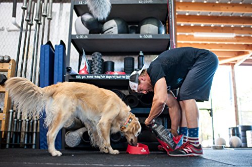 Nulo Senior Dog Food, Trout & Sweet Potato, 24-Lb Bag