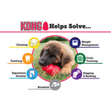 KONG Puppy Durable Rubber Dog Chew Toy, Large