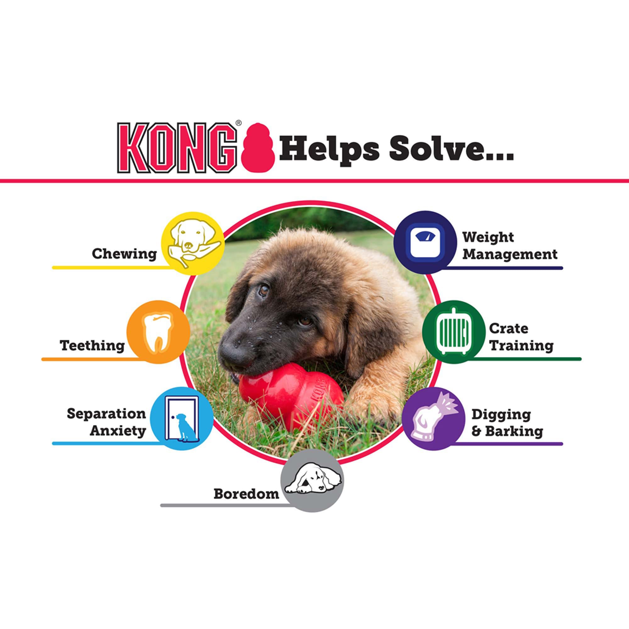 KONG Puppy Durable Rubber Dog Chew Toy, Large