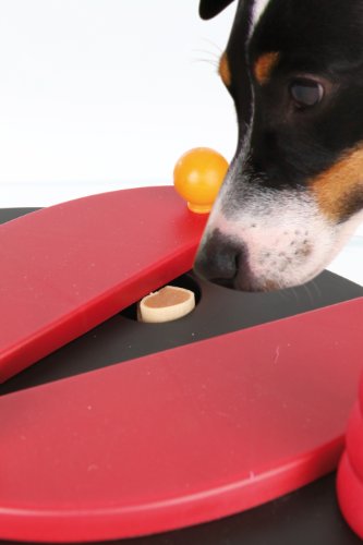 Trixie Push Away Strategy Game Dog Toy, Level 2 (9.8 x 6.7 in.)