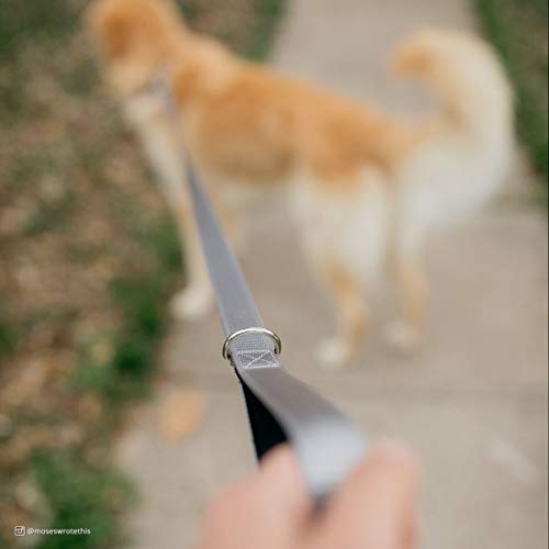 Coastal Inspire Enhanced Core Dog Leash Green, 5/8 in. x 6 ft.