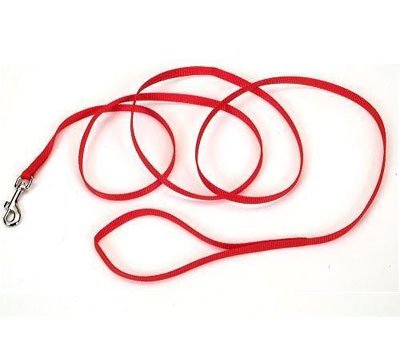 Regent Nylon Dog Leash Red, 3/4 in. x 6 ft.
