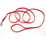 Regent Nylon Dog Leash Red, 3/4 in. x 6 ft.