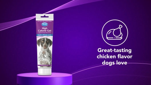 Petag High Calorie Gel Supplement For Dogs, 5 oz