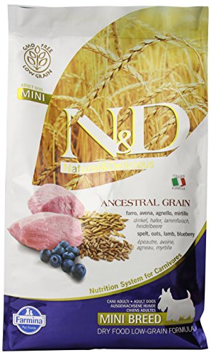 Farmina Pet Foods Farmina N&D Ancestral Grain Mini Adult Lamb & Blueberry Dry Dog Food 5.5-Lb Bag