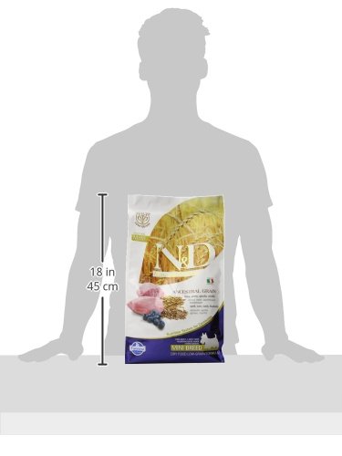 Farmina Pet Foods Farmina N&D Ancestral Grain Mini Adult Lamb & Blueberry Dry Dog Food 5.5-Lb Bag