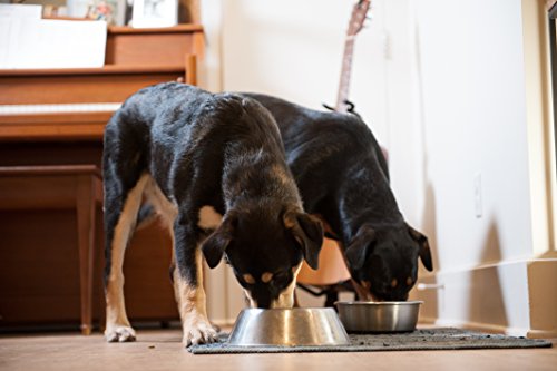 Nulo FreeStyle Adult Trim Cod & Lentils Grain-Free Dry Dog Food, 24 lbs.