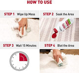 Nature's Miracle Pour Stain & Odor Remover for Dogs, 32 oz.