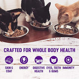 Wellness Healthy Indulgence Complete Health Chicken Liver Cat Food, 3 oz.