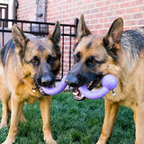 KONG Ogee Stick Dog Toy, Medium