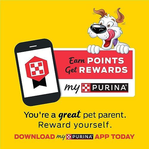 Purina Beggin' Strips Fun Size Bacon & Cheese Flavor Tender Chews Small Dog Treats, 6 oz.