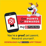 Purina Beggin' Strips Fun Size Bacon & Cheese Flavor Tender Chews Small Dog Treats, 6 oz.
