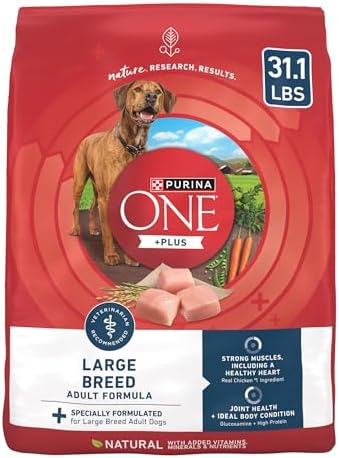 Purina ONE Plus Large Breed Adult Chicken Formula Dry Dog Food, 31.1 lbs.
