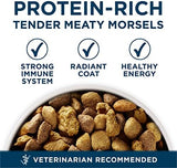 Purina ONE Plus Large Breed Adult Chicken Formula Dry Dog Food, 31.1 lbs.