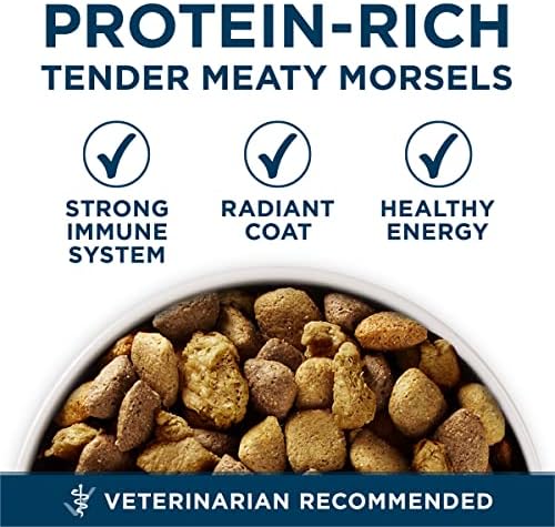Purina ONE Plus Large Breed Adult Chicken Formula Dry Dog Food, 31.1 lbs.